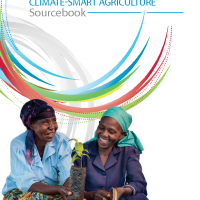 FAO CSA Source book